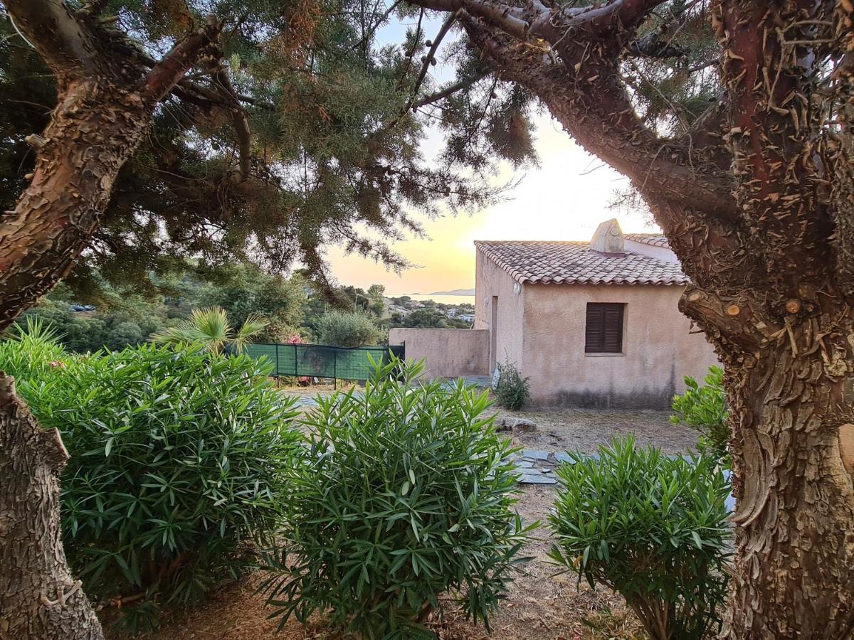 Studio Avec Terasse Vue Mer Porticcio  Exterior photo